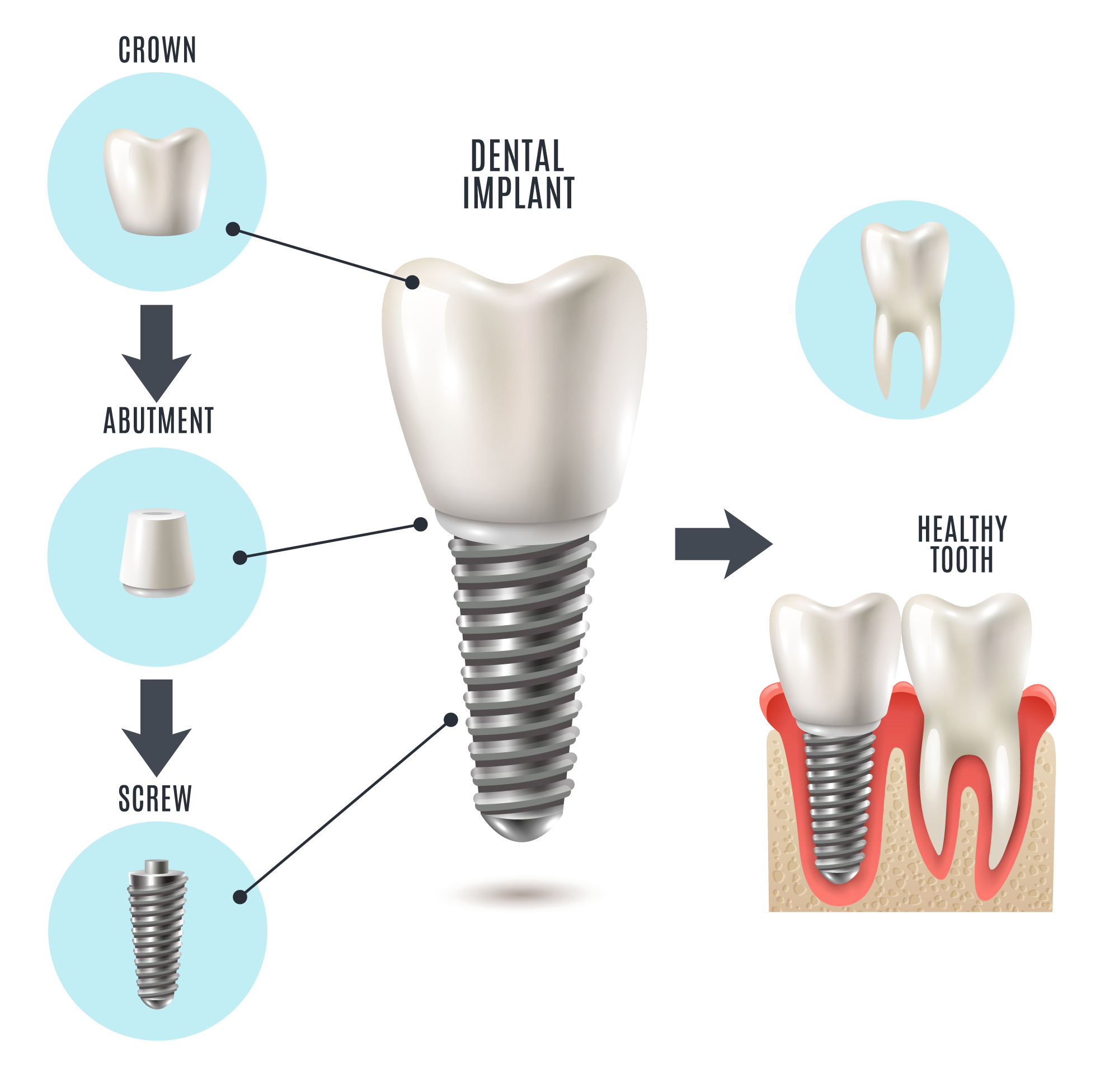 Eximus Dental 531275926 Our Services  